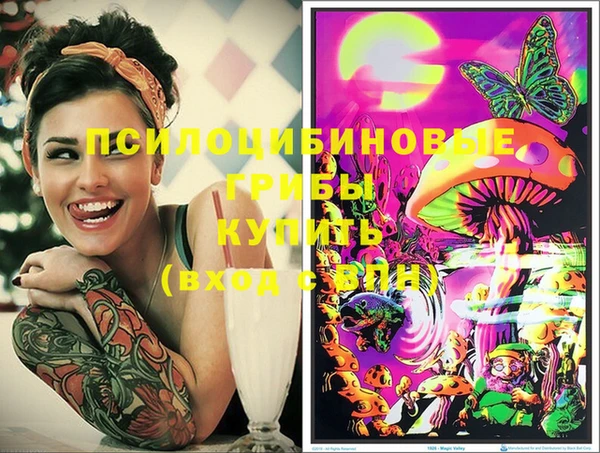 ГАЛЛЮЦИНОГЕННЫЕ ГРИБЫ Балабаново