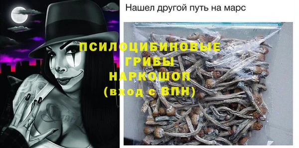ГАЛЛЮЦИНОГЕННЫЕ ГРИБЫ Балабаново