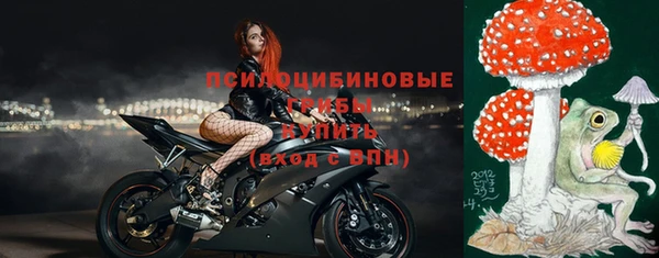 ГАЛЛЮЦИНОГЕННЫЕ ГРИБЫ Балабаново
